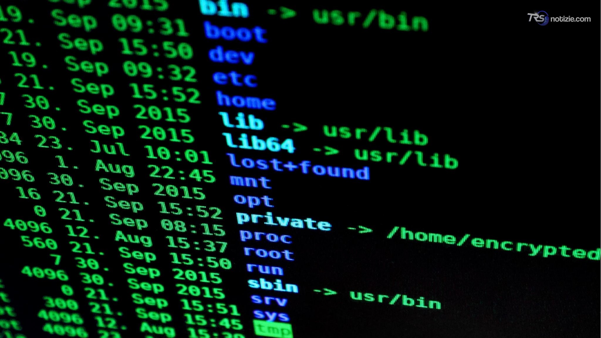 Germania sotto pressione: hacker, fughe di dati e disinformazione alla vigilia delle elezioni