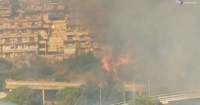 Incendi, prevenzione e programmazione parole chiave per il futuro