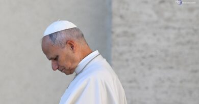 Udienza Papa: "Difendere sempre dignità"