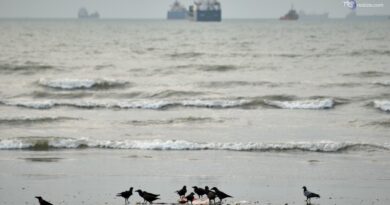 Iran: colpita petroliera nello Stretto