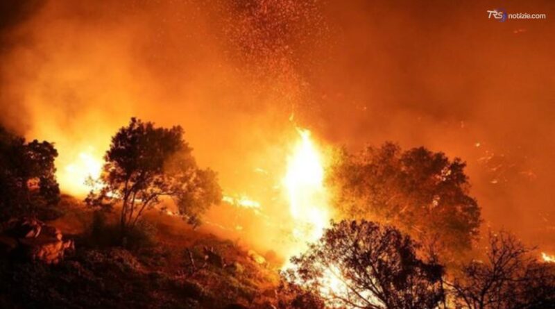 Una taglia per gli incendiari