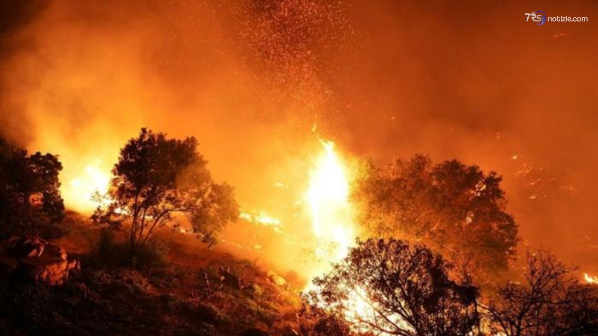Una taglia per gli incendiari