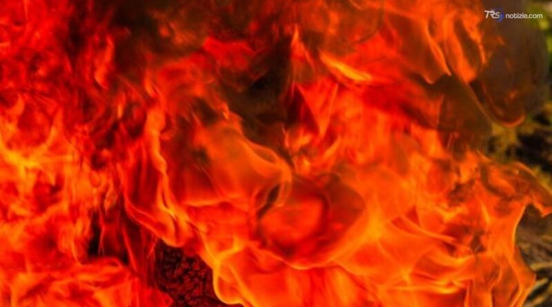 Enna, vasto incendio distrugge capannoni di azienda che produce uova