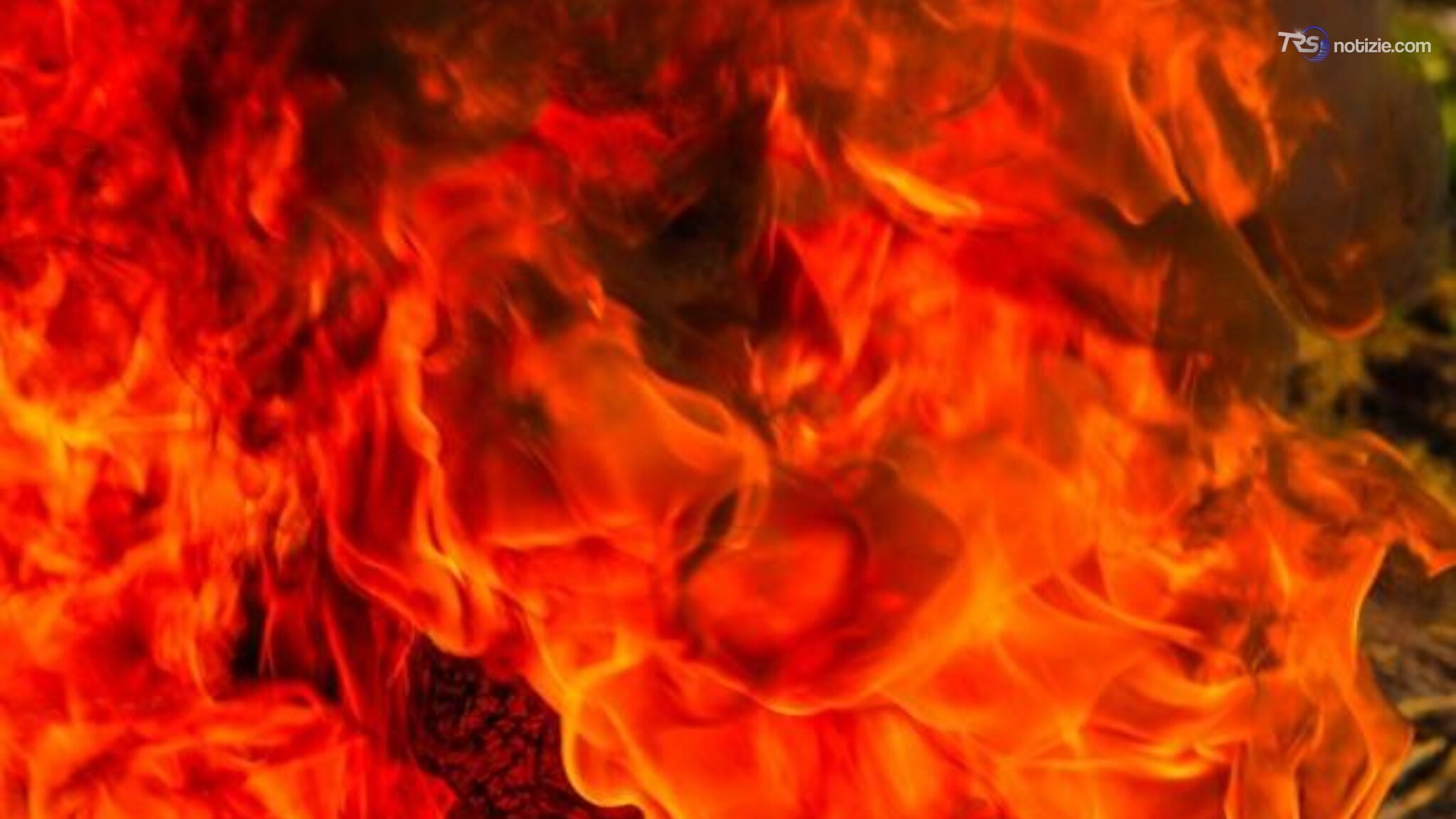 Enna, vasto incendio distrugge capannoni di azienda che produce uova