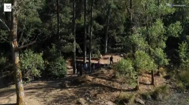 Un itinerario all'interno della Riserva Naturale Orientata Campanito-Sambughetti