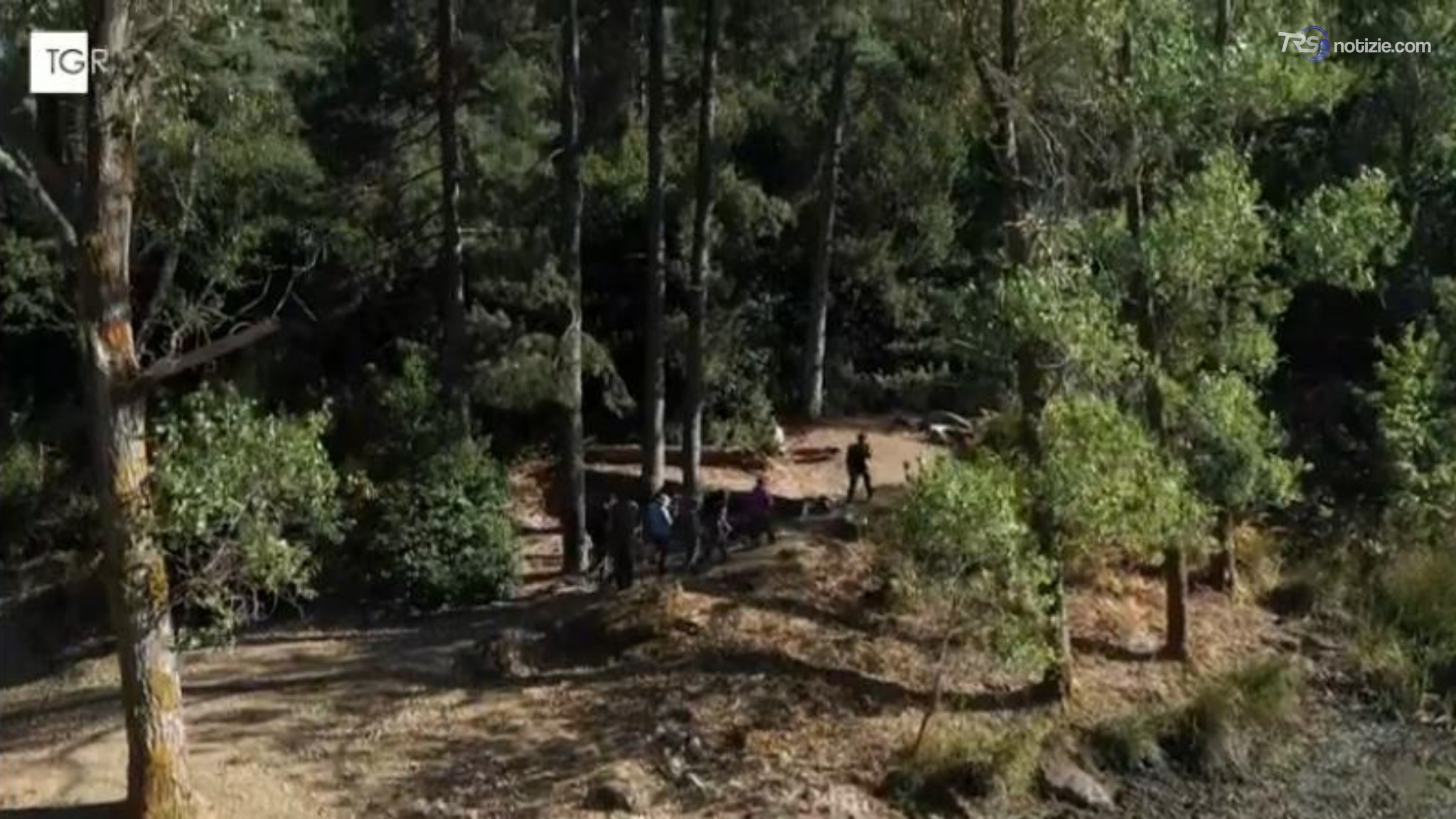 Un itinerario all'interno della Riserva Naturale Orientata Campanito-Sambughetti