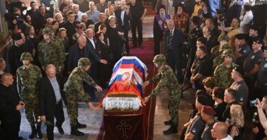 Ue: onori a Mladic contro i valori dell'Unione