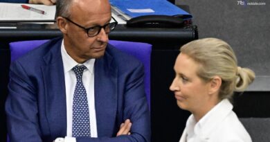 Merz attacca: "AfD forza distruttiva"