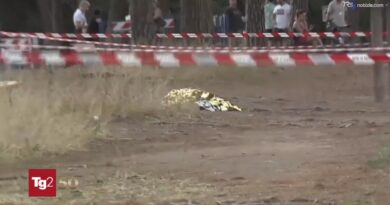 Omicidio Piscitelli, arrestate 7 persone: lotta per il narcotraffico e scenario da romanzo criminale