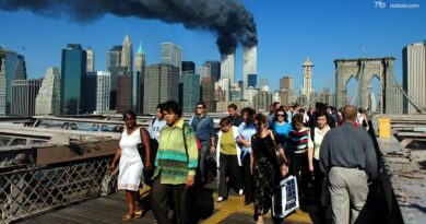 11 settembre, 100 milioni di americani sono nati dopo gli attacchi: la memoria diventa storia