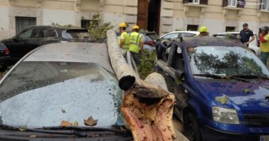 Maltempo a Roma, albero cade in piazza Dante e travolge quattro auto