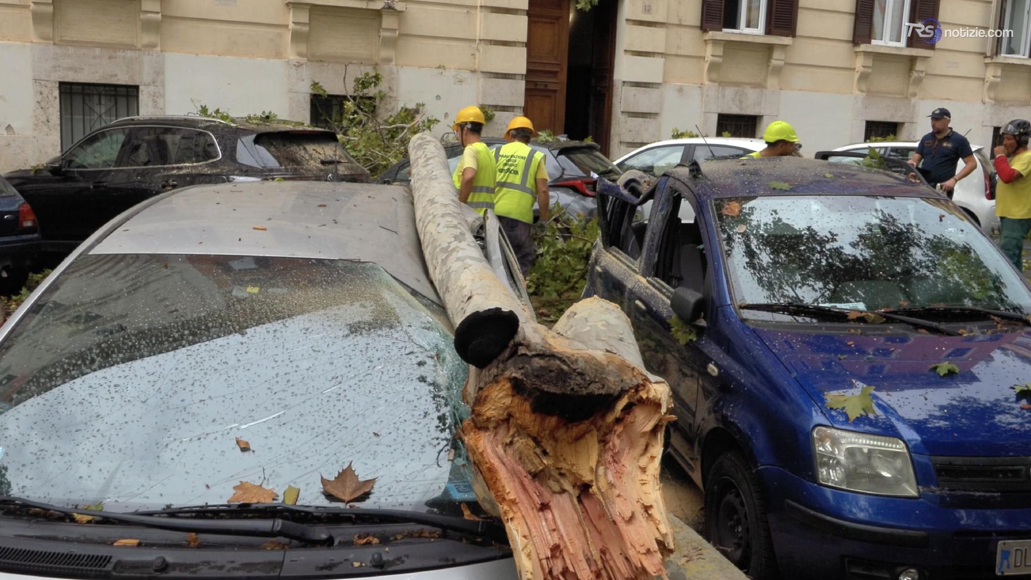 Maltempo a Roma, albero cade in piazza Dante e travolge quattro auto