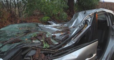 Maltempo a Roma, albero cade su un'auto: ferito l'autista a bordo