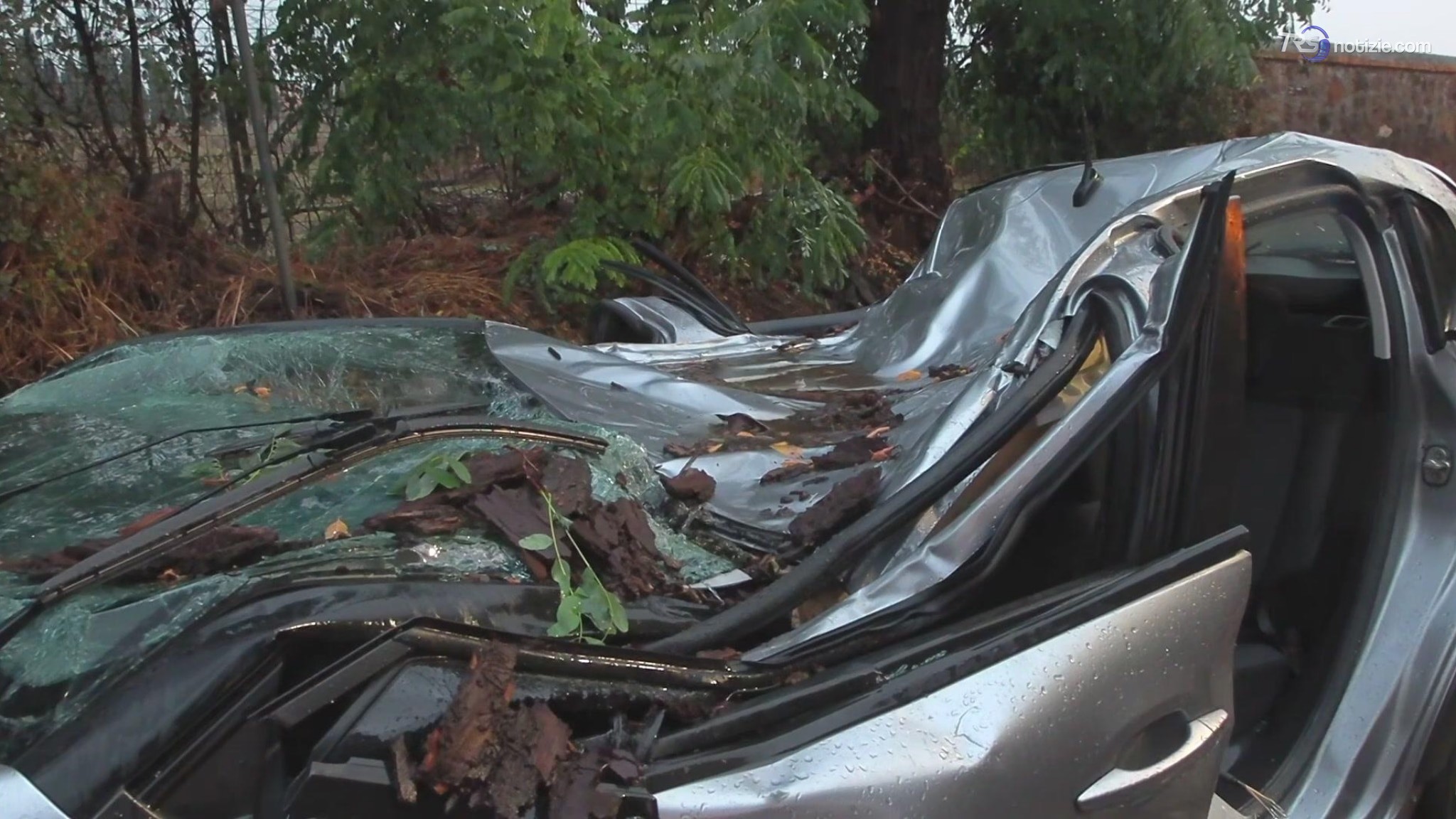 Maltempo a Roma, albero cade su un’auto: ferito l’autista a bordo