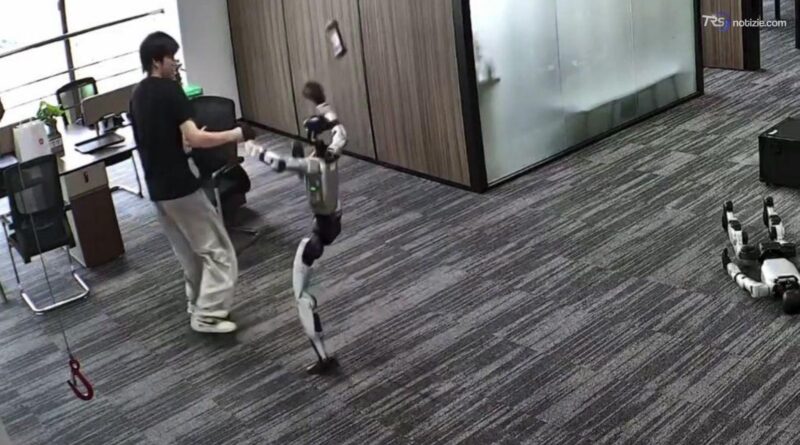 Il robot "si ribella" e prende a calci un ingegnere in Cina: colpo di kung fu