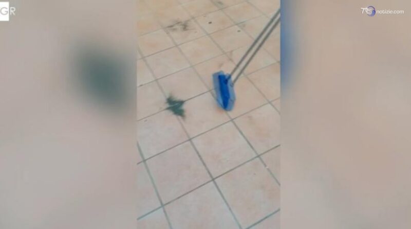 Ancora polvere a Isola delle Femmine: "Vogliamo garanzie"