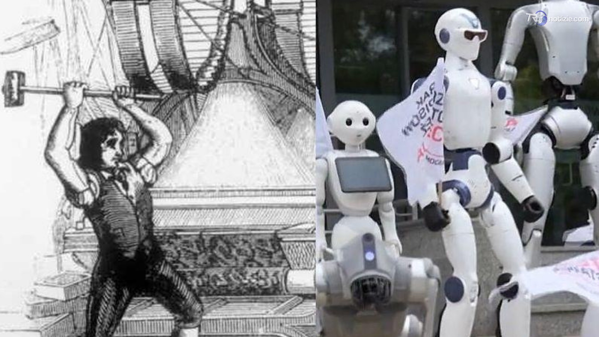 Polonia, se a protestare ora sono i robot: 30 umanoidi "scesi in piazza" contro l'AI