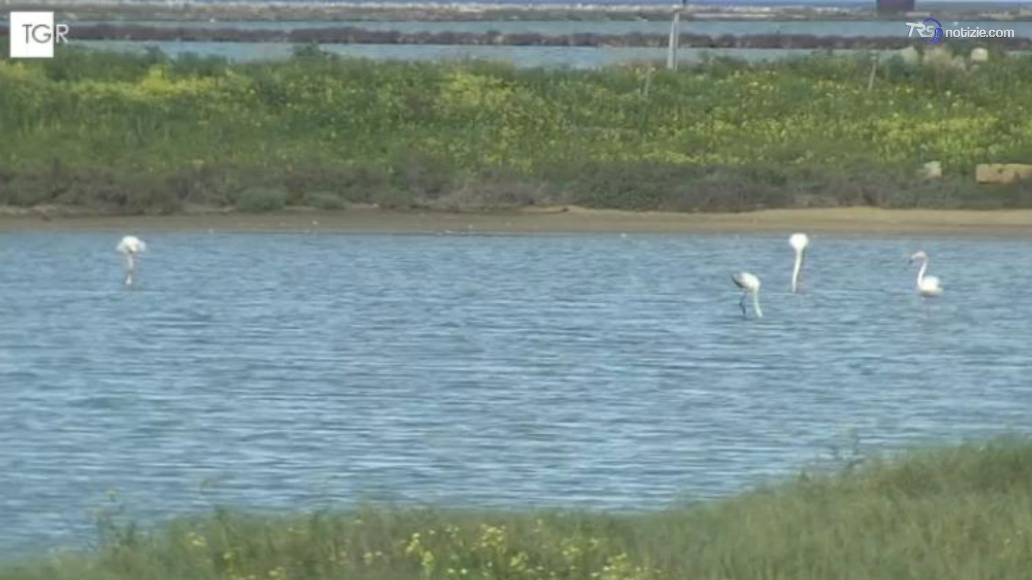 Saline di Trapani, ultimi passaggi tecnici della candidatura Unesco a Riserva della Biosfera