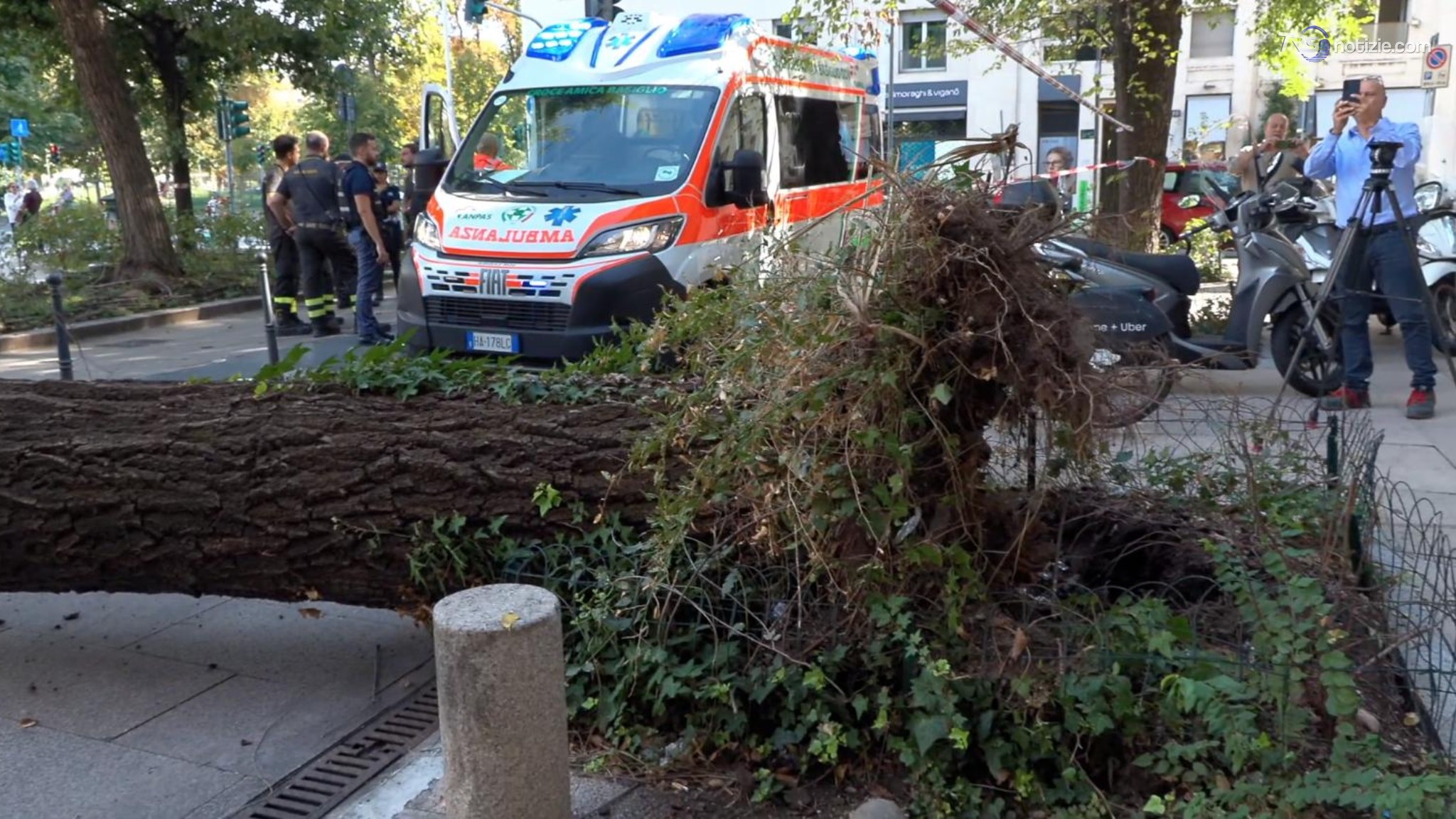 Milano, cade un albero in piazza Risorgimento: tre feriti