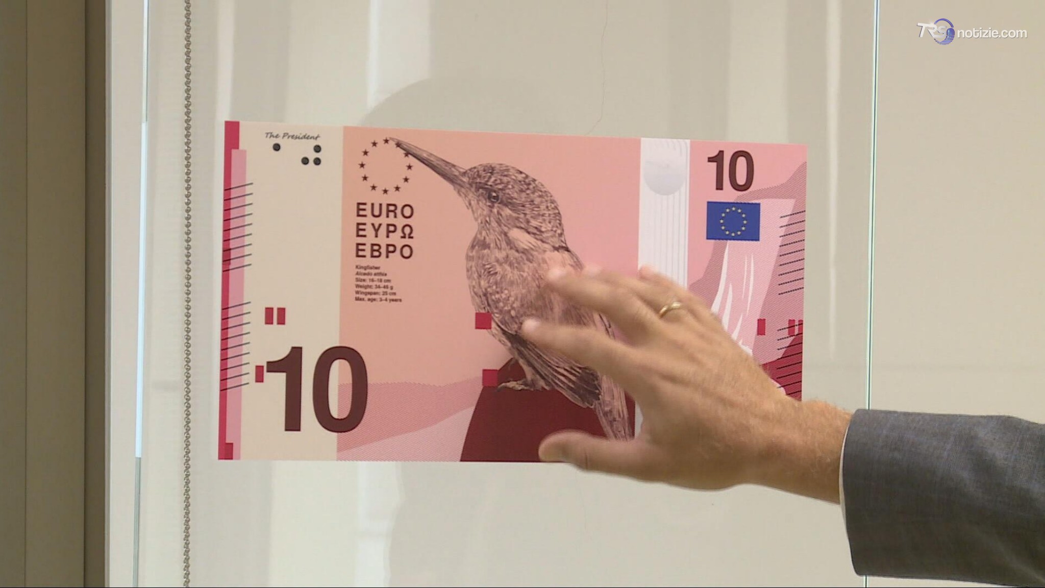 Natura, istituzioni, grandi personaggi: ecco le possibili nuove banconote Euro