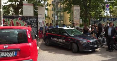 Lo spray urticante e le tre coltellate: paura in una scuola di Roma