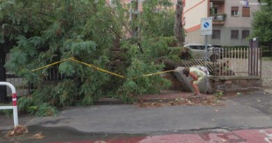 Violento temporale a Roma: un albero abbatte la cancellata di un condominio