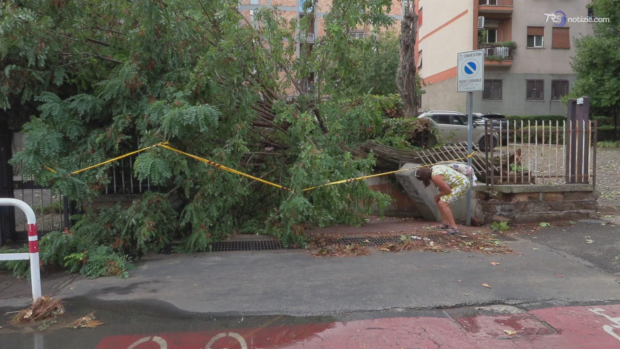 Violento temporale a Roma: un albero abbatte la cancellata di un condominio