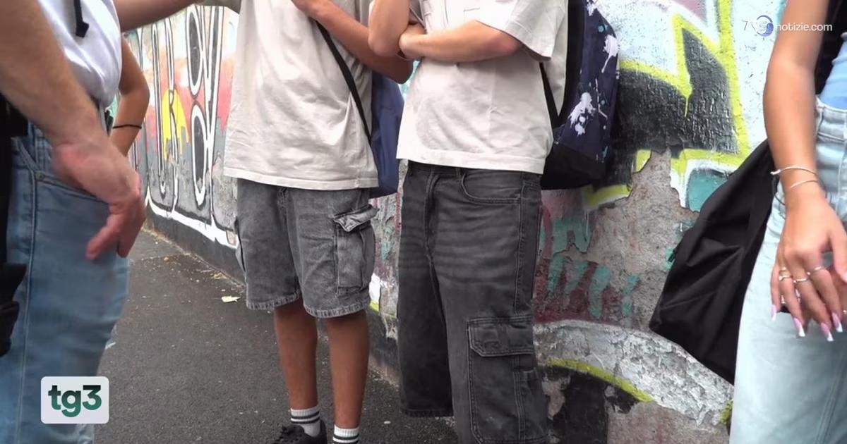 Prof ferita a Roma, riapre la scuola: l'ombra delle chat e l'ipotesi di istigazione