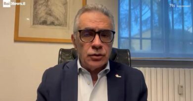 Influenza, Pregliasco: "Ci aspettiamo una stagione di intensità medio-alta"
