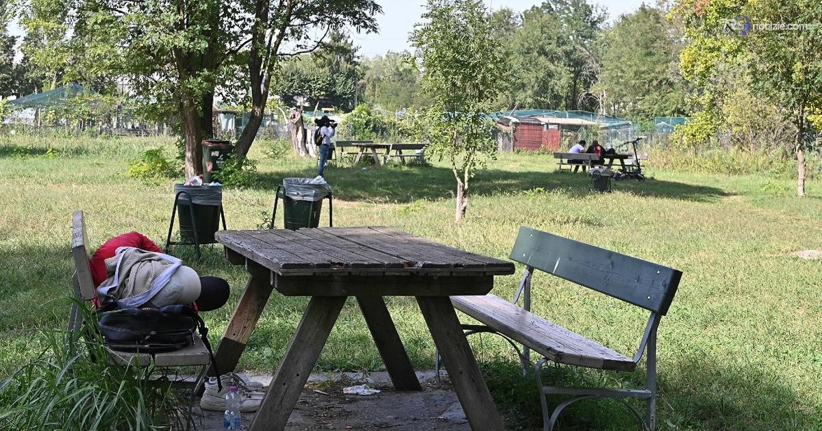 Abusi su 12enne a Torino, preso sospetto