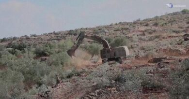 Residenti palestinesi denunciano: bulldozer israeliani sradicano ulivi alla vigilia della raccolta