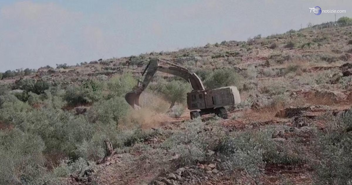 Residenti palestinesi denunciano: bulldozer israeliani sradicano ulivi alla vigilia della raccolta