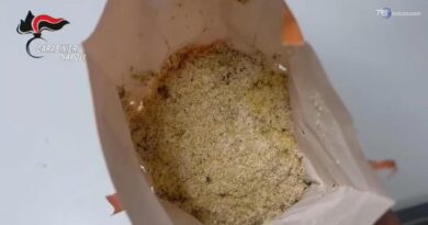 Vermi nella farina e insetti negli alimenti: erano destinati ai bambini