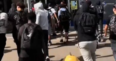 Modena, spingono i clienti e saccheggiano gli scaffali, il raid dei giovani all'assalto del discount