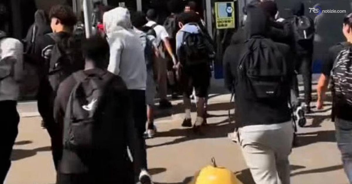 Modena, spingono i clienti e saccheggiano gli scaffali, il raid dei giovani all’assalto del discount