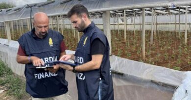 Marsala, scoperti 15 lavoratori agricoli "in nero"