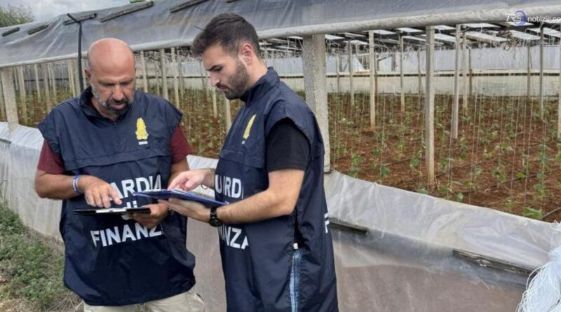 Marsala, scoperti 15 lavoratori agricoli "in nero"