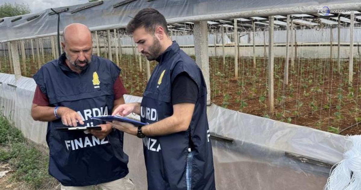 Marsala, scoperti 15 lavoratori agricoli "in nero"