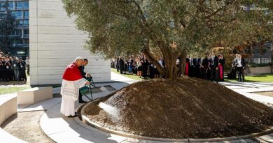 Papa: guerra la peggiore opera dell'uomo