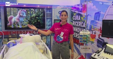 Spallanzani, la terapia intensiva diventa magica: i "piccoli medici" salvano un unicorno malato