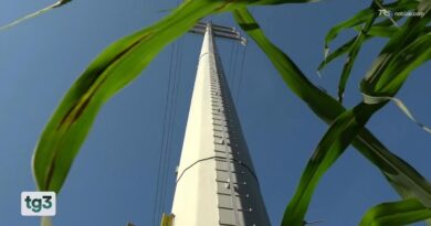 15enne si arrampica sul traliccio elettrico e muore folgorato: ipotesi sfida social