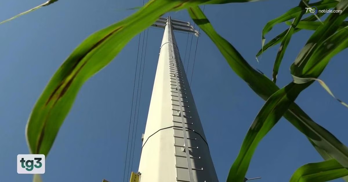 15enne si arrampica sul traliccio elettrico e muore folgorato: ipotesi sfida social
