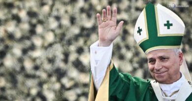 Papa: "Non è normale togliere la vita"
