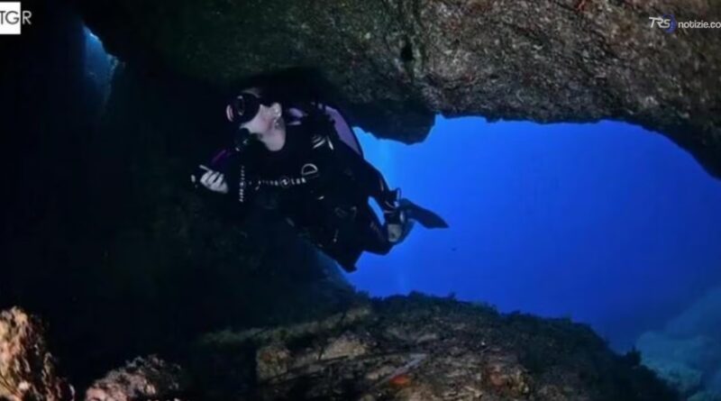Il catanese Maurizio Longhitano campione di Video Subacqueo a Ponza