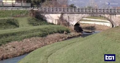 Un no trasforma una passeggiata in un'esplosione di violenza