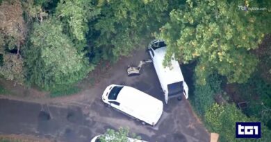 L'attacco sventato alla base Raf di Fairford: la voce della contadina che ha dato l'allarme alla BBC