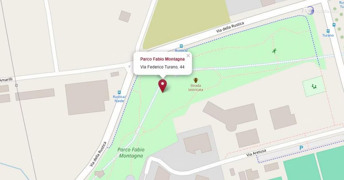 Trovato un cadavere in un parco di Roma: sul corpo ferite da taglio
