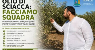 Sciacca, riconosciute le prime otto attività della Comunità dell’Olio: assemblea entro ottobre