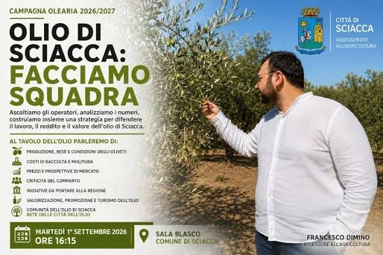 Sciacca, riconosciute le prime otto attività della Comunità dell’Olio: assemblea entro ottobre