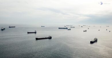 Bulgaria: colpite due navi nel Mar Nero